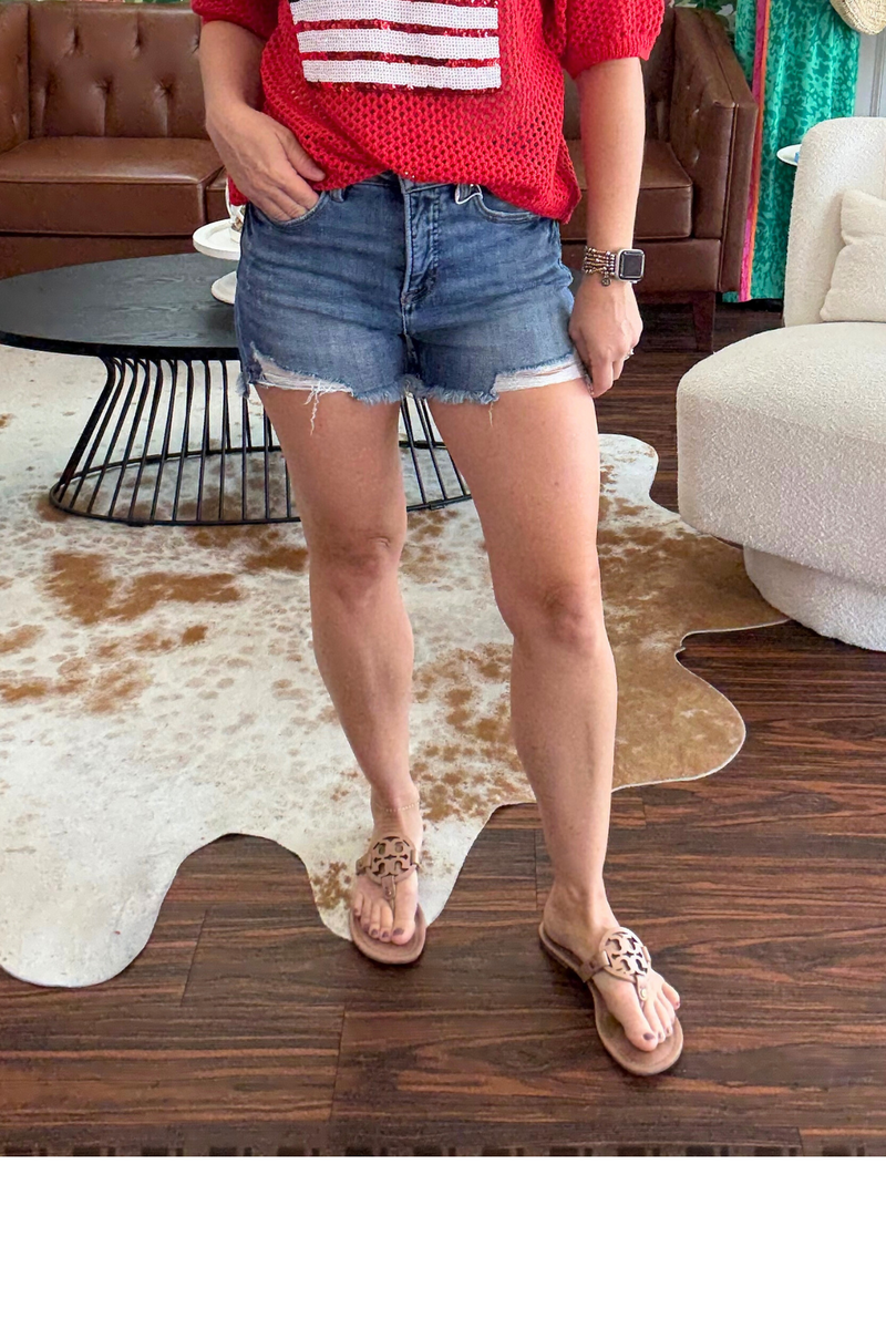 Risen Dark Wash Tummy Control Denim Shorts
