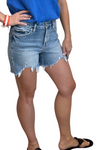 Ivy High Rise Denim Shorts