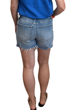 Ivy High Rise Denim Shorts
